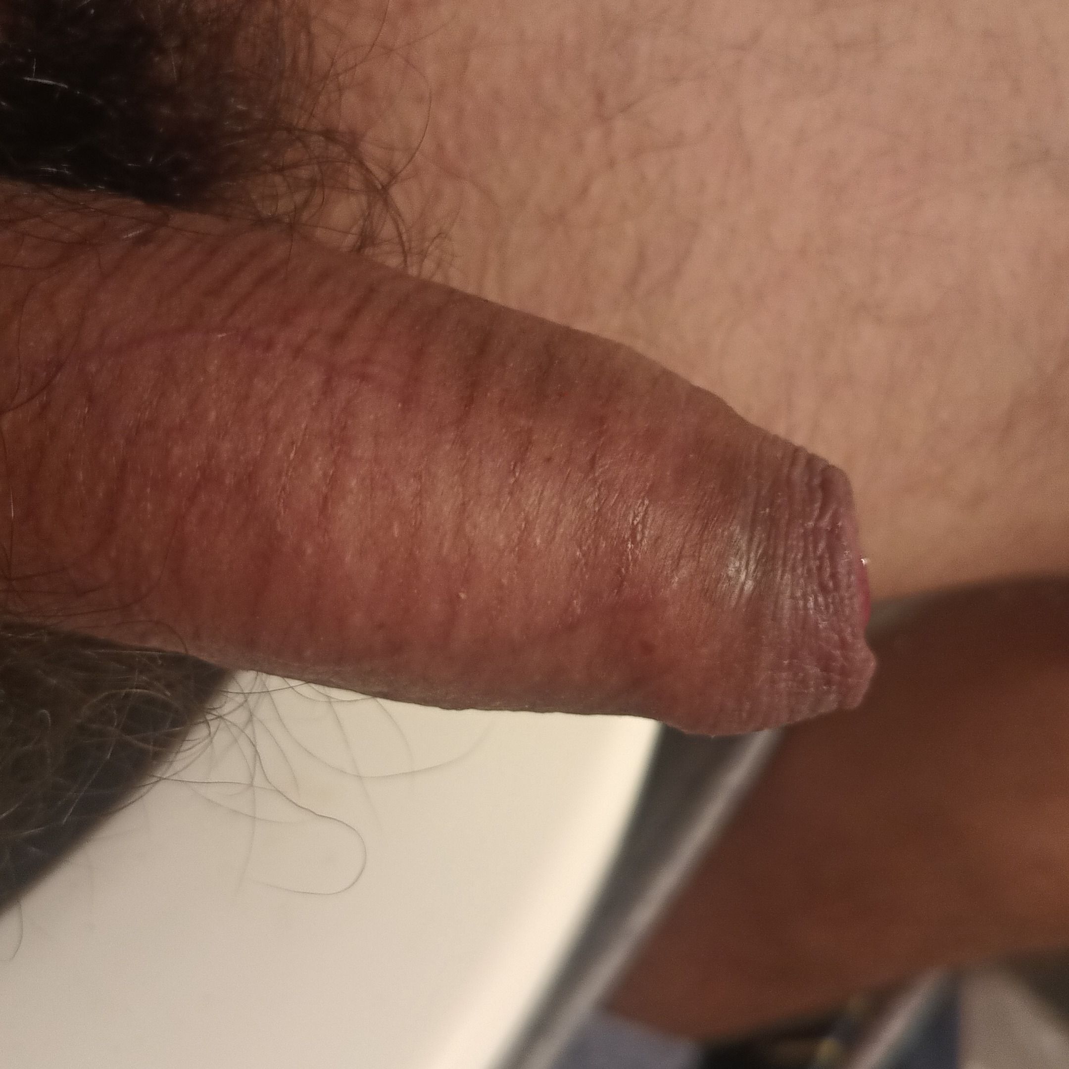Profile image of Nesto23