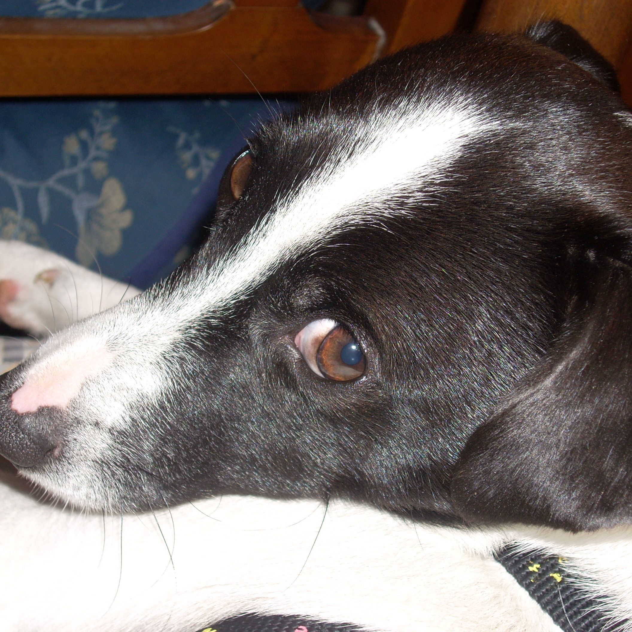 Profile image of Paolo0512