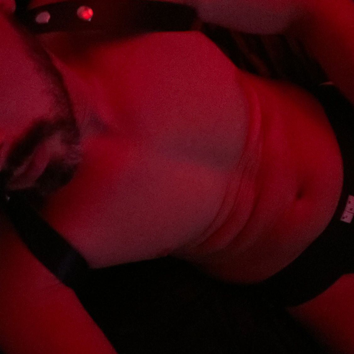 Profile image of Pig_85