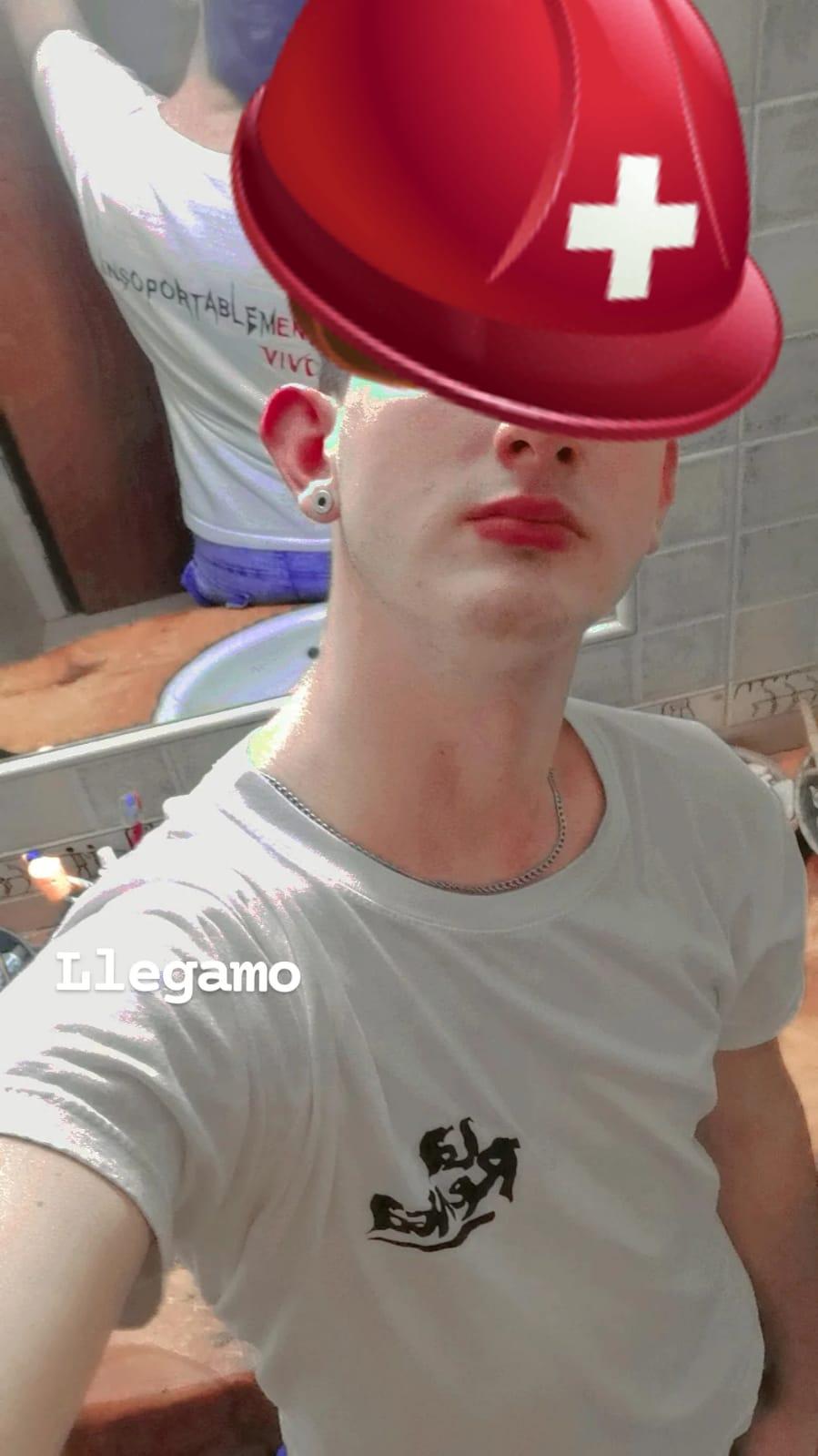 Profile image of Pingaro