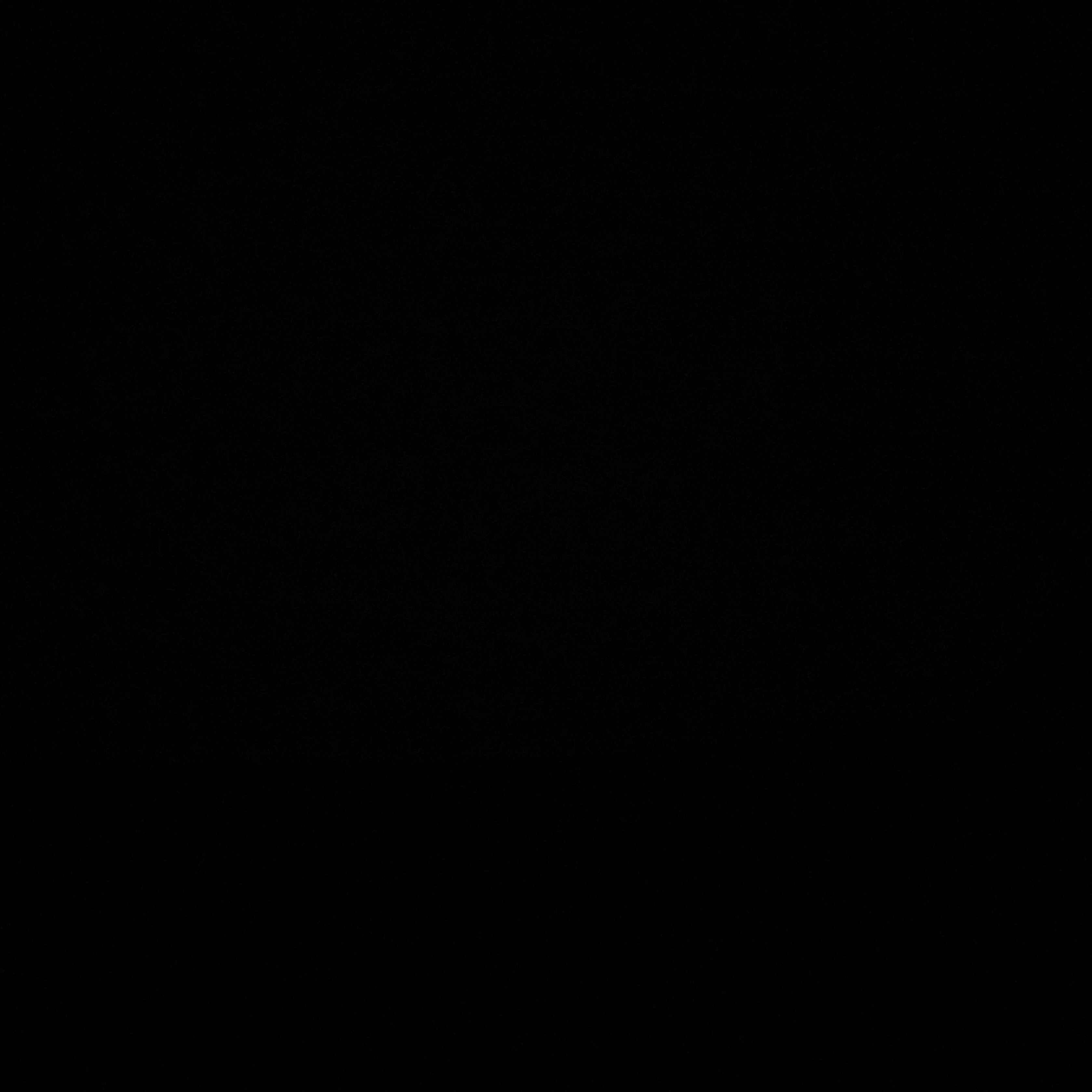 Profile image of Pitoloco85