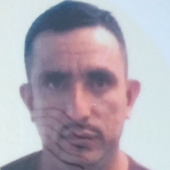 Profile image of Pollagrande81