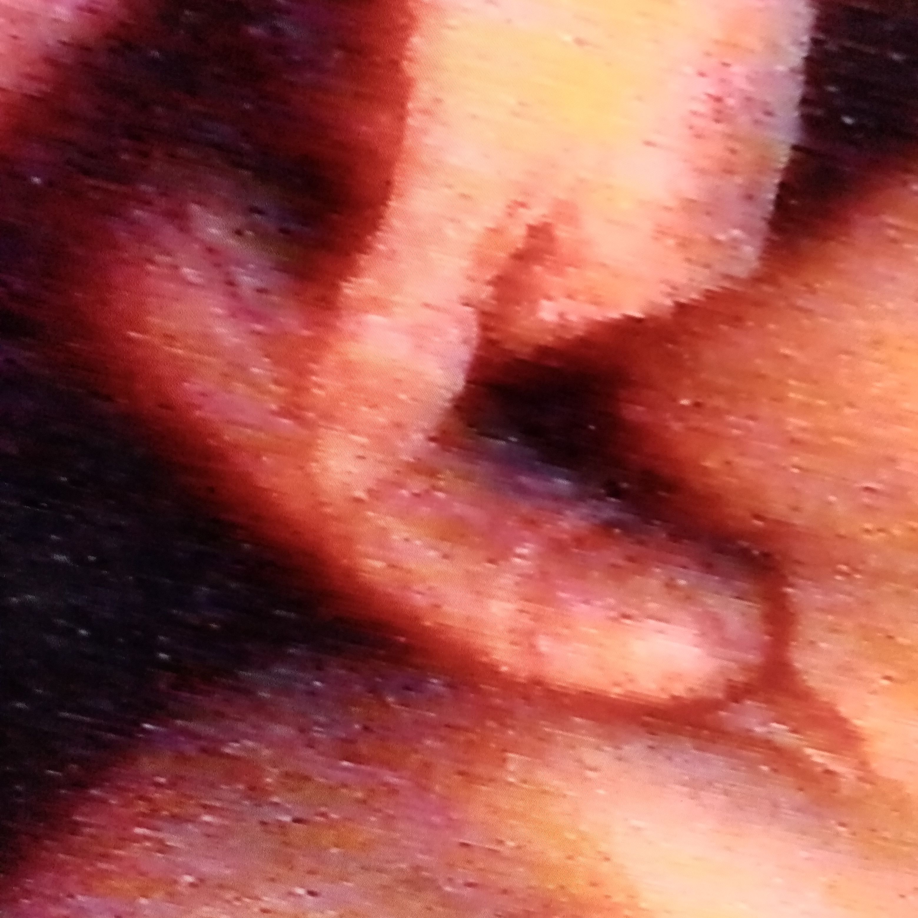 Profile image of Roggaa