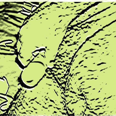 Profile image of Rosenhe53