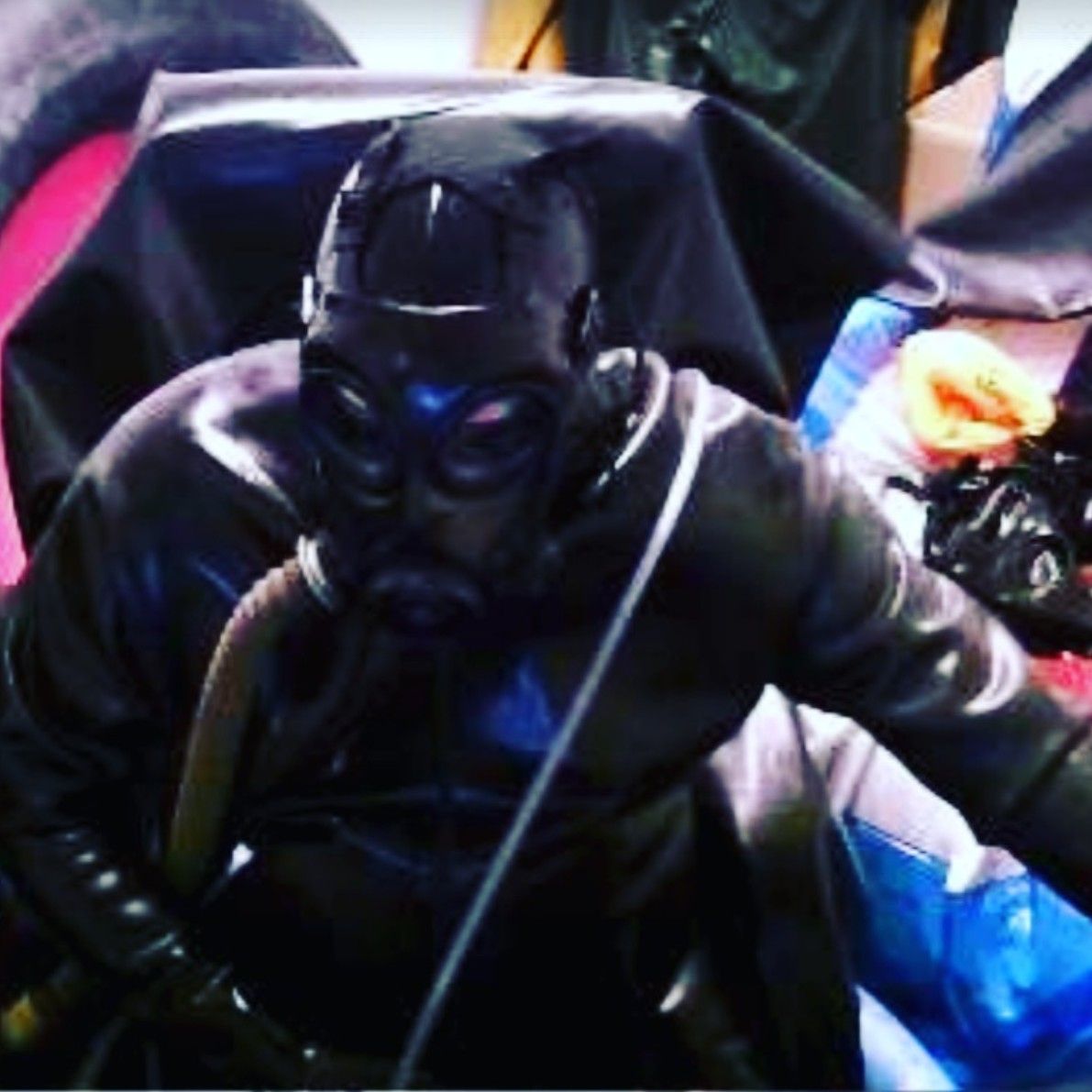 Profile image of RubberPPig