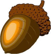 Profile image of Sanntus