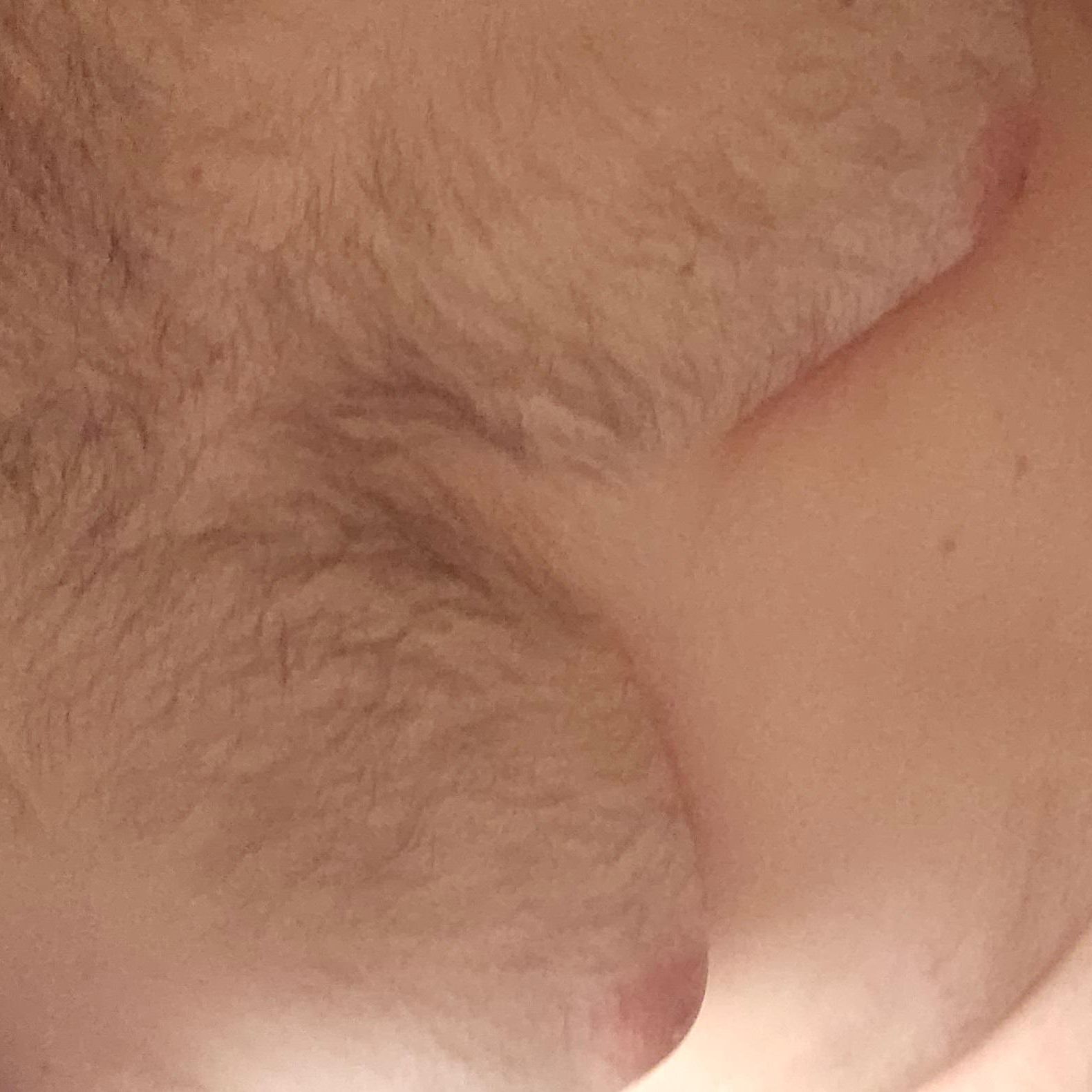 Profile image of Soumis244