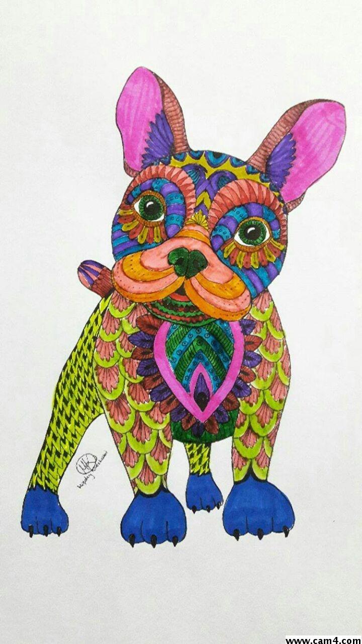 Profile image of TOROLOCO169