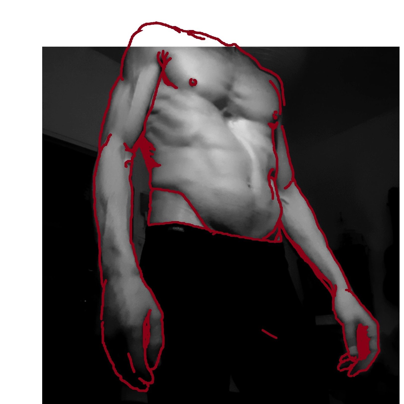 Profile image of Taylor_Tom