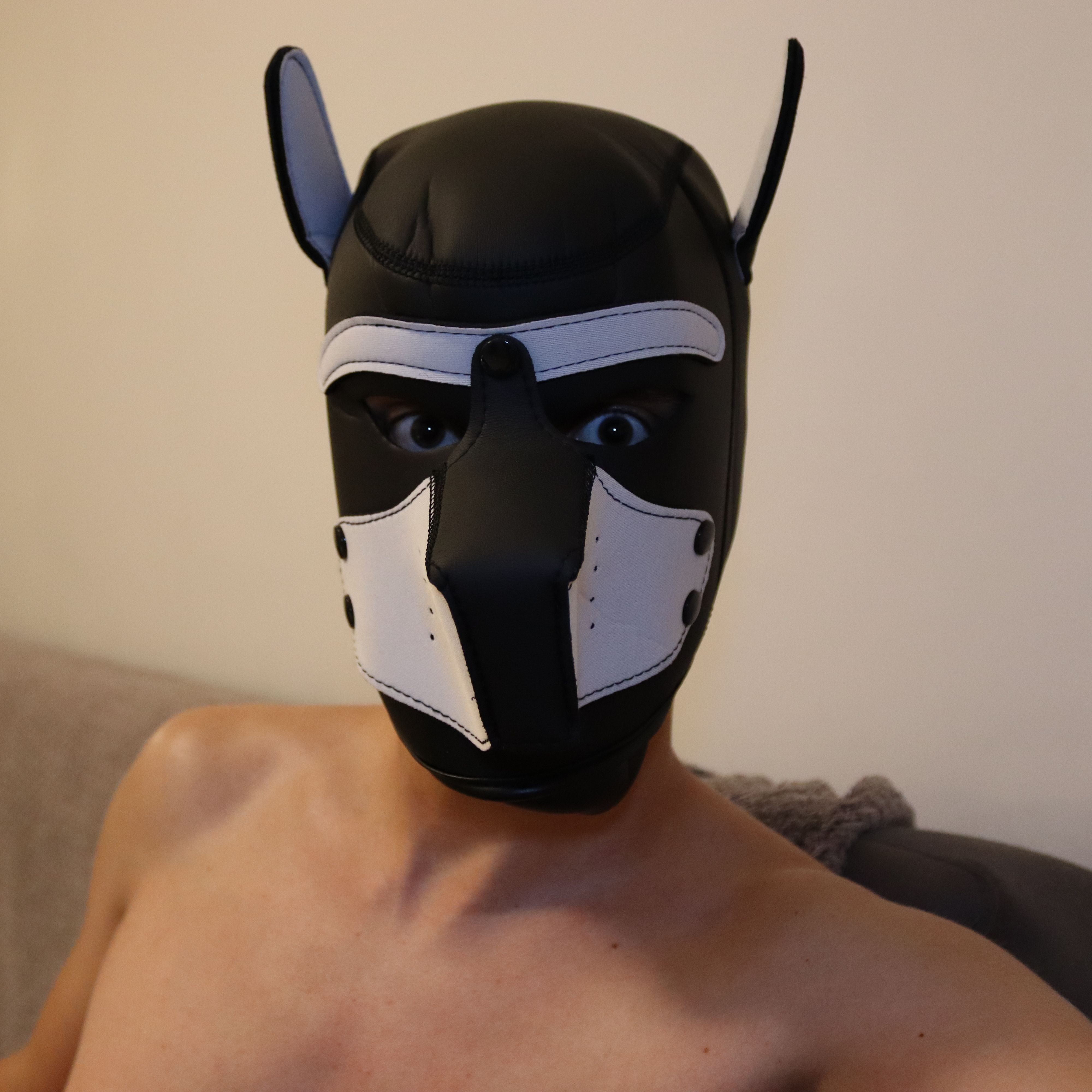 Profile image of TheNaughtyDevil
