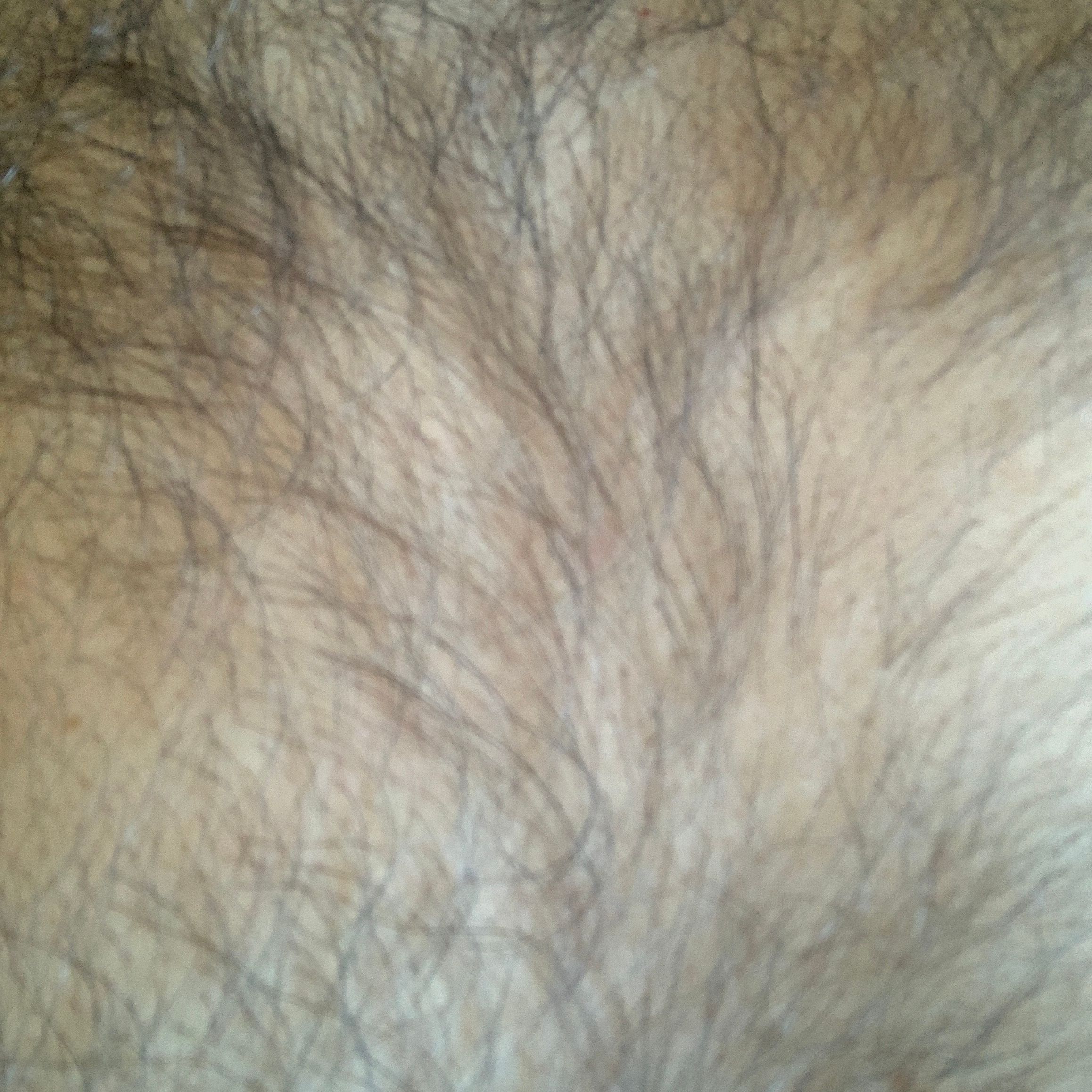 Profile image of Todastusvidas