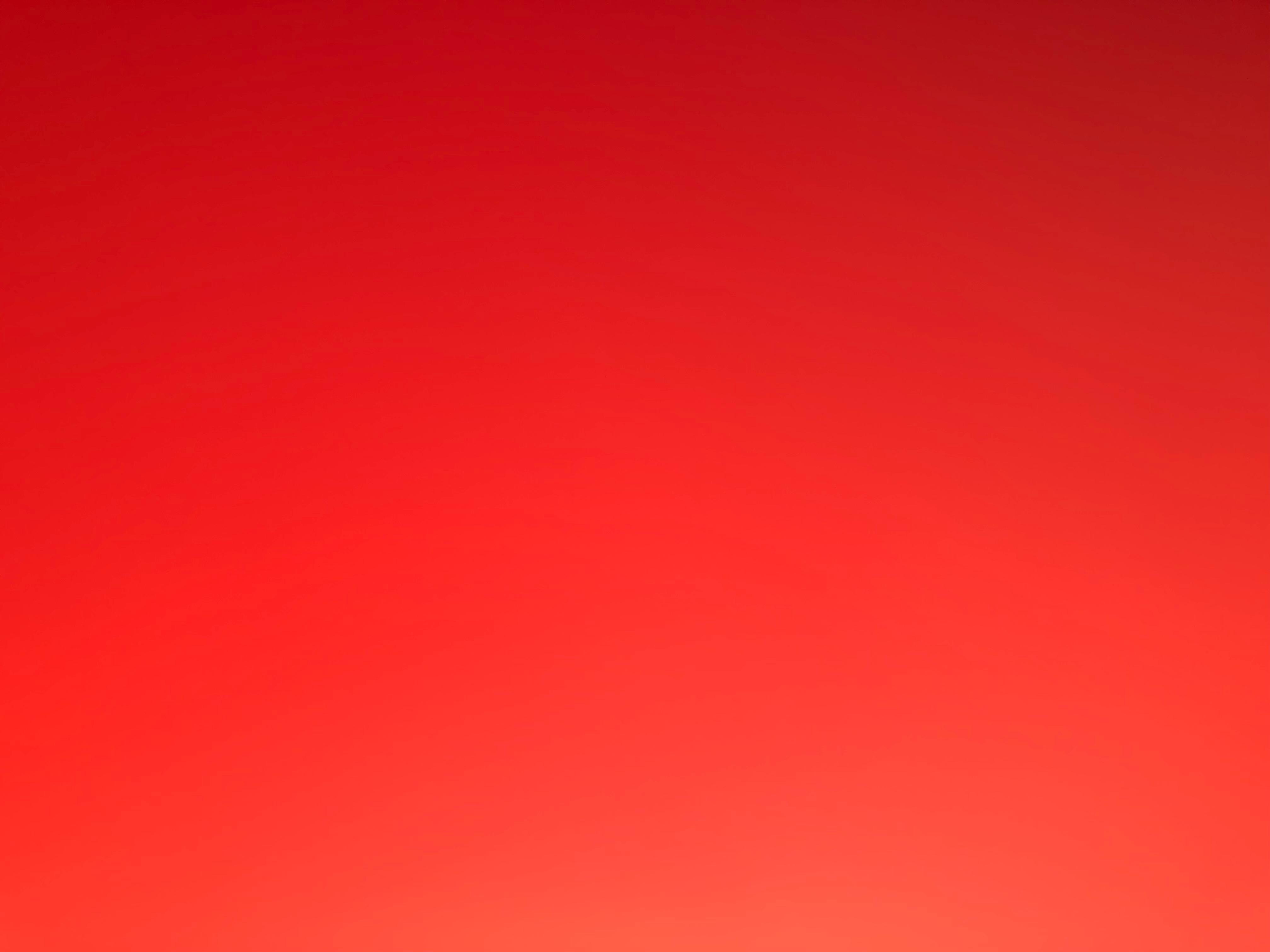 Profile image of Toninox77