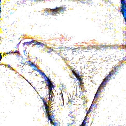 Profile image of ToroSan