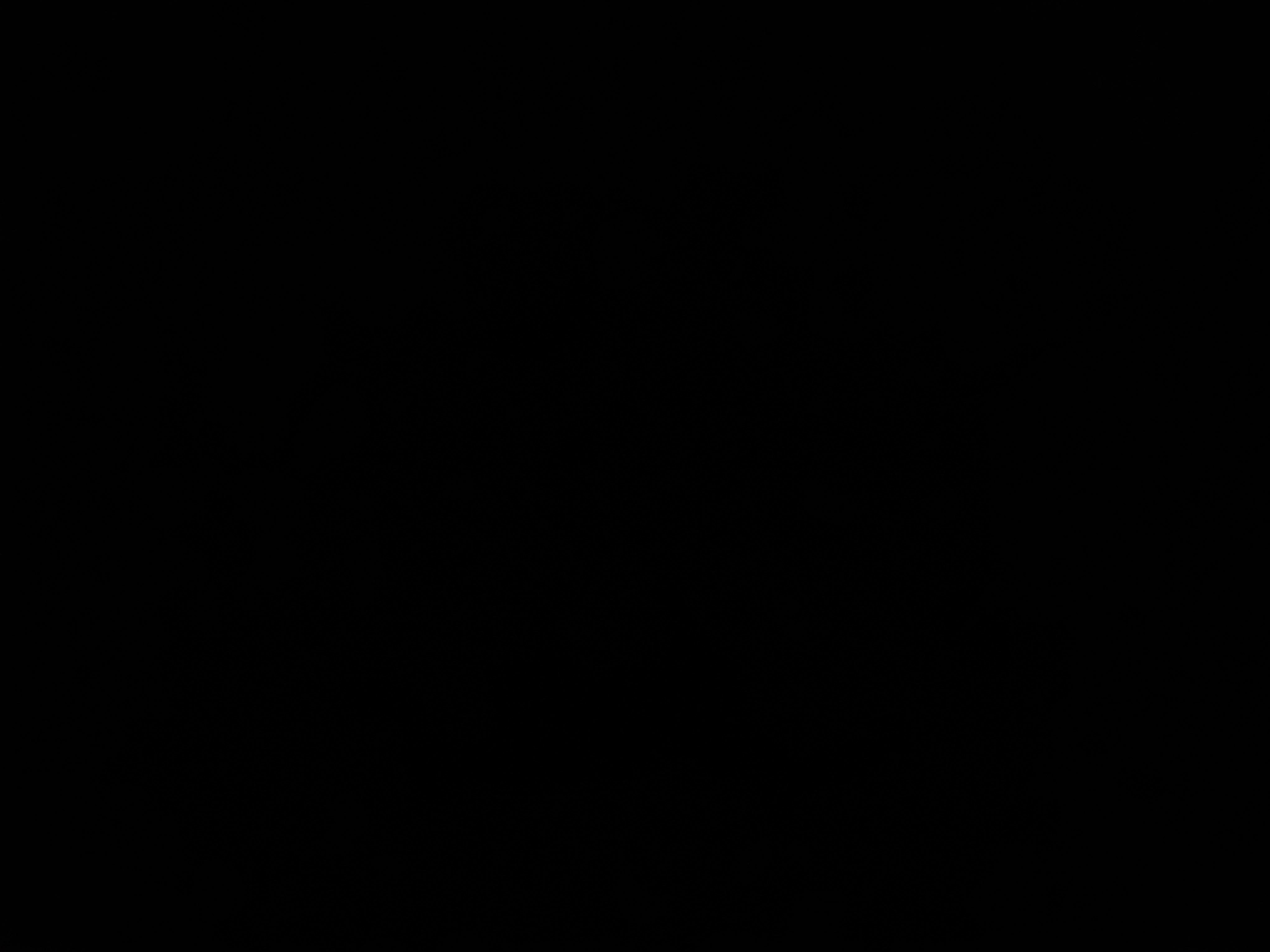 Profile image of Wildandfreeee27