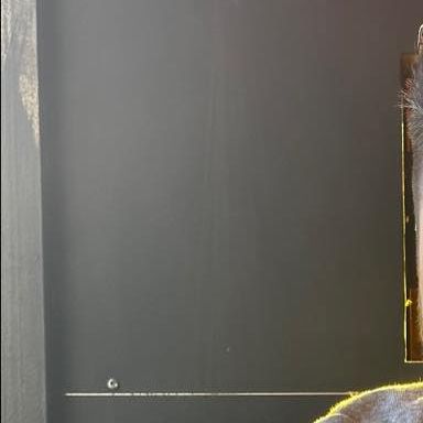 Profile image of Wovyy