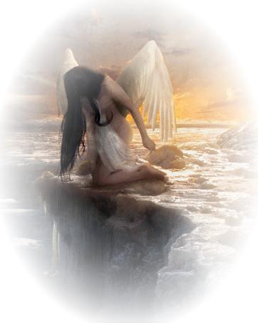 Profile image of _PARADISE_