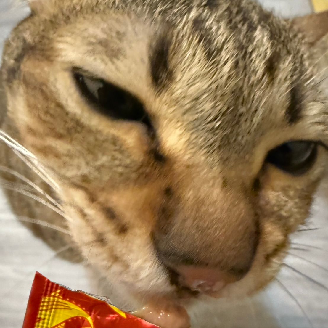 Profile image of _YOMOY_