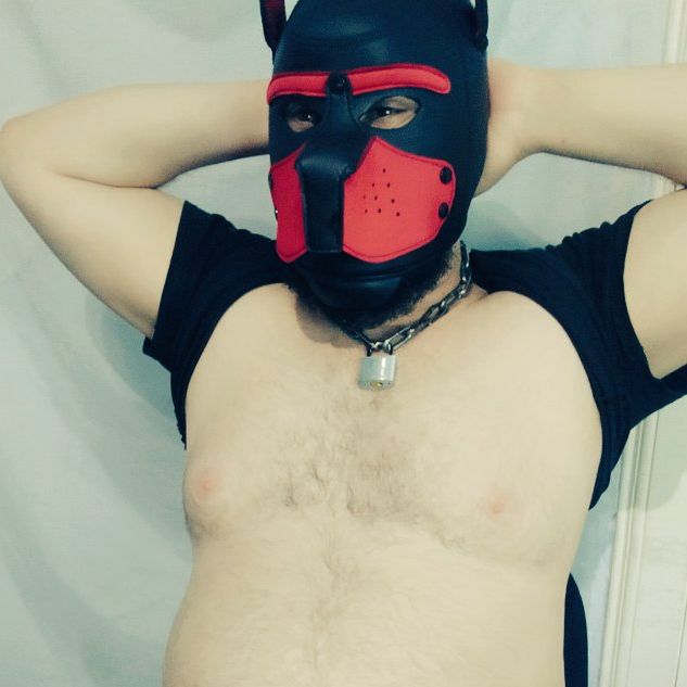 Profile image of alexxxcub