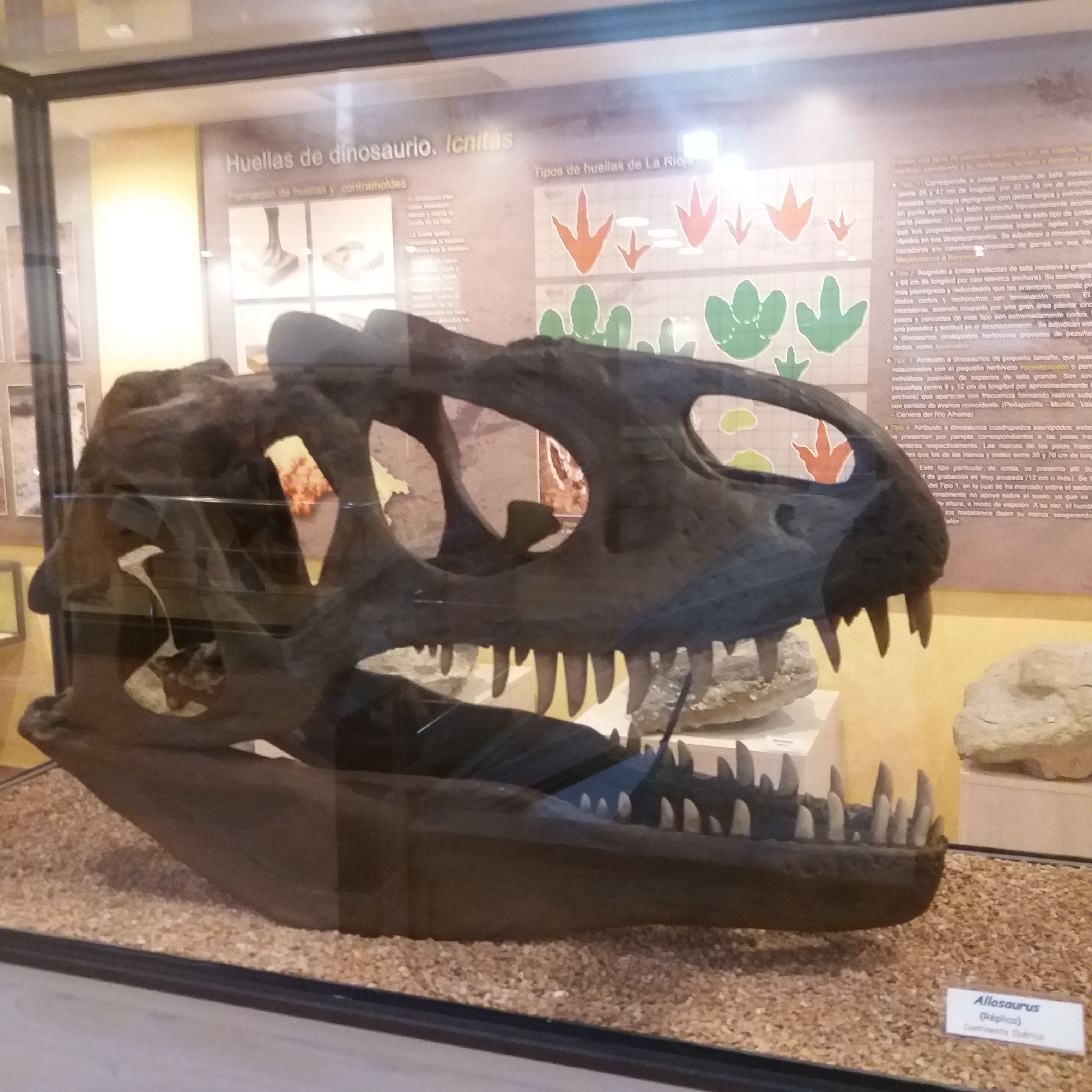 Profile image of alzibuen