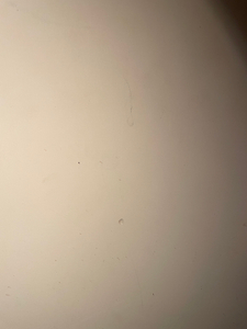 Profile image of aphex01