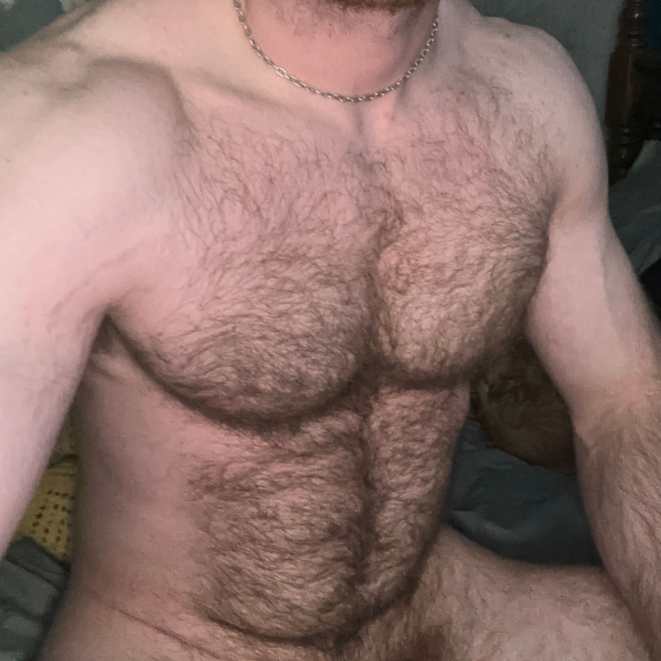 Profile image of aquiles196
