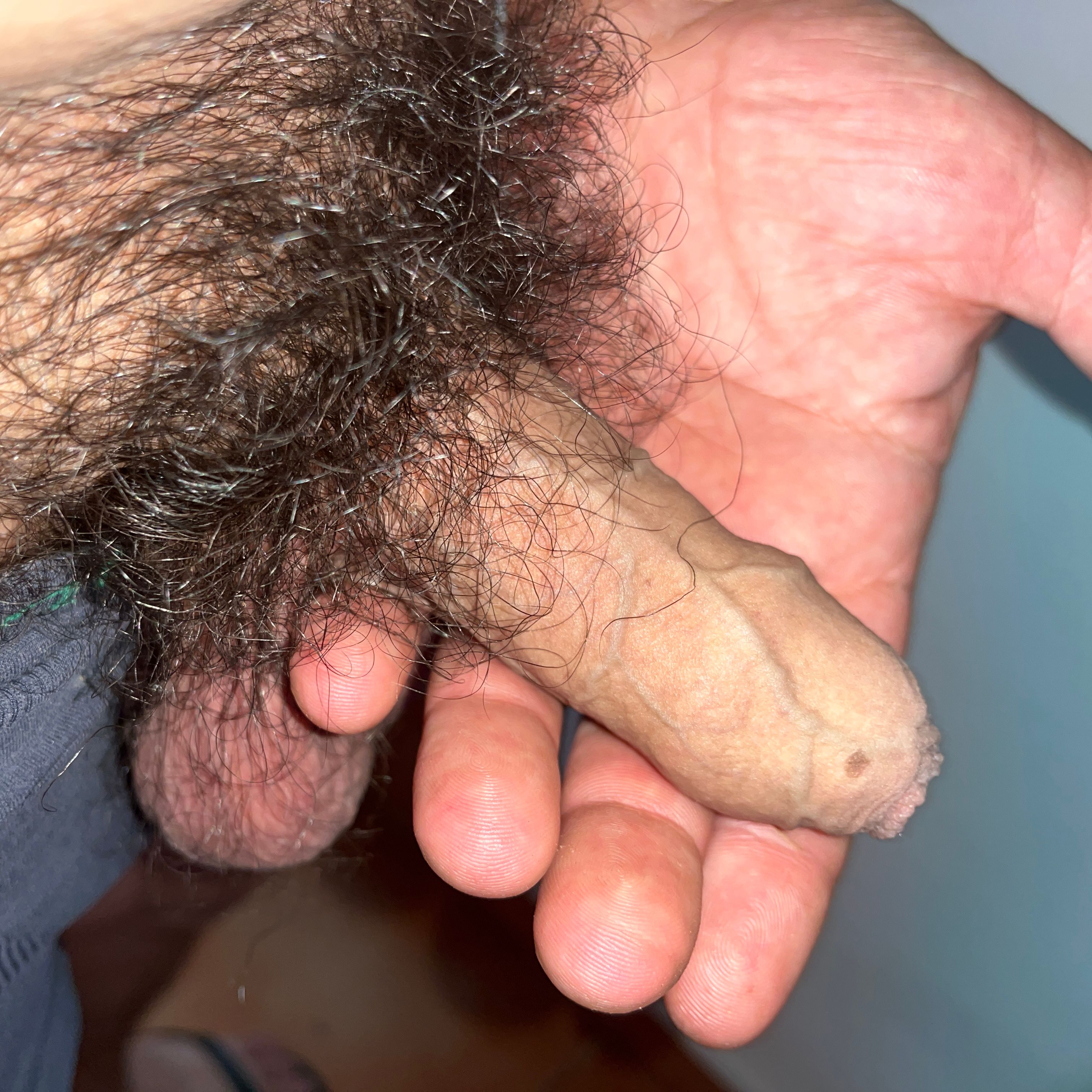 Profile image of axlindo