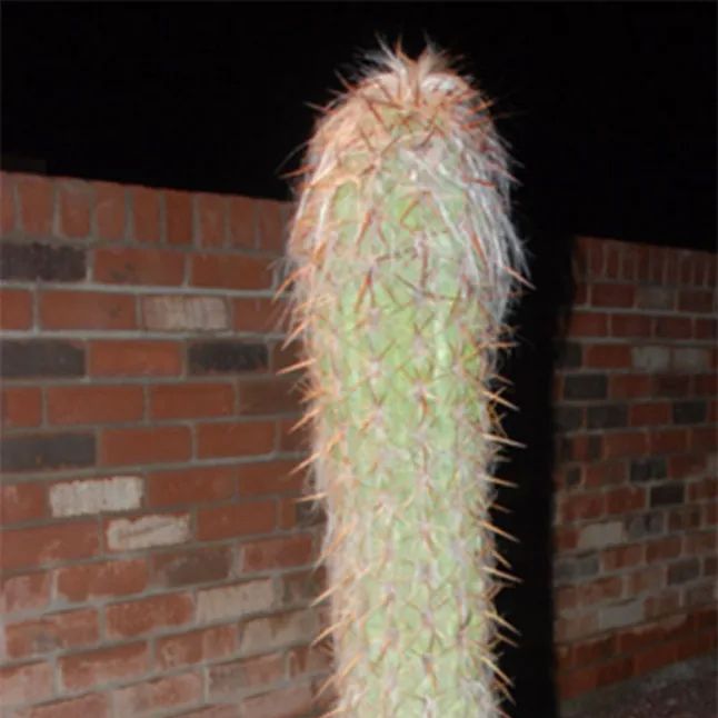Profile image of azfun988