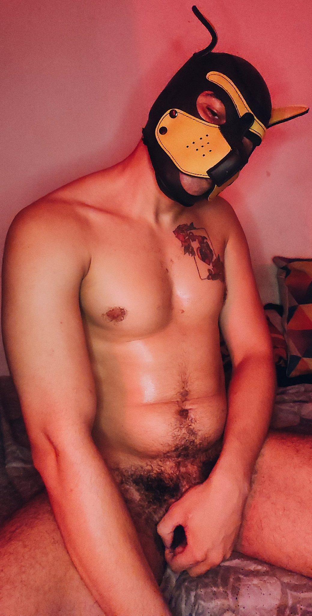 Profile image of badpuppy96