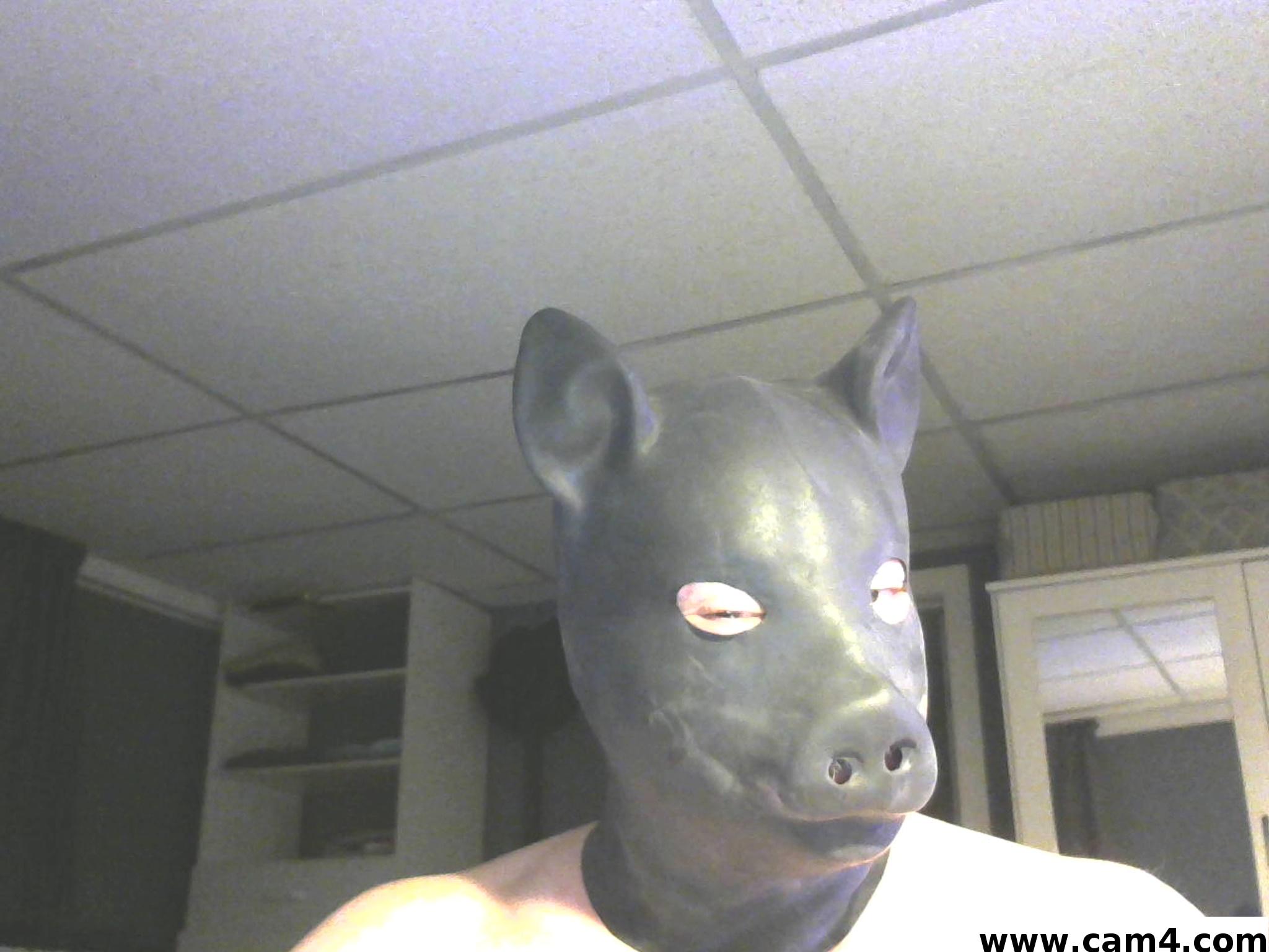 Profile image of bandedinme