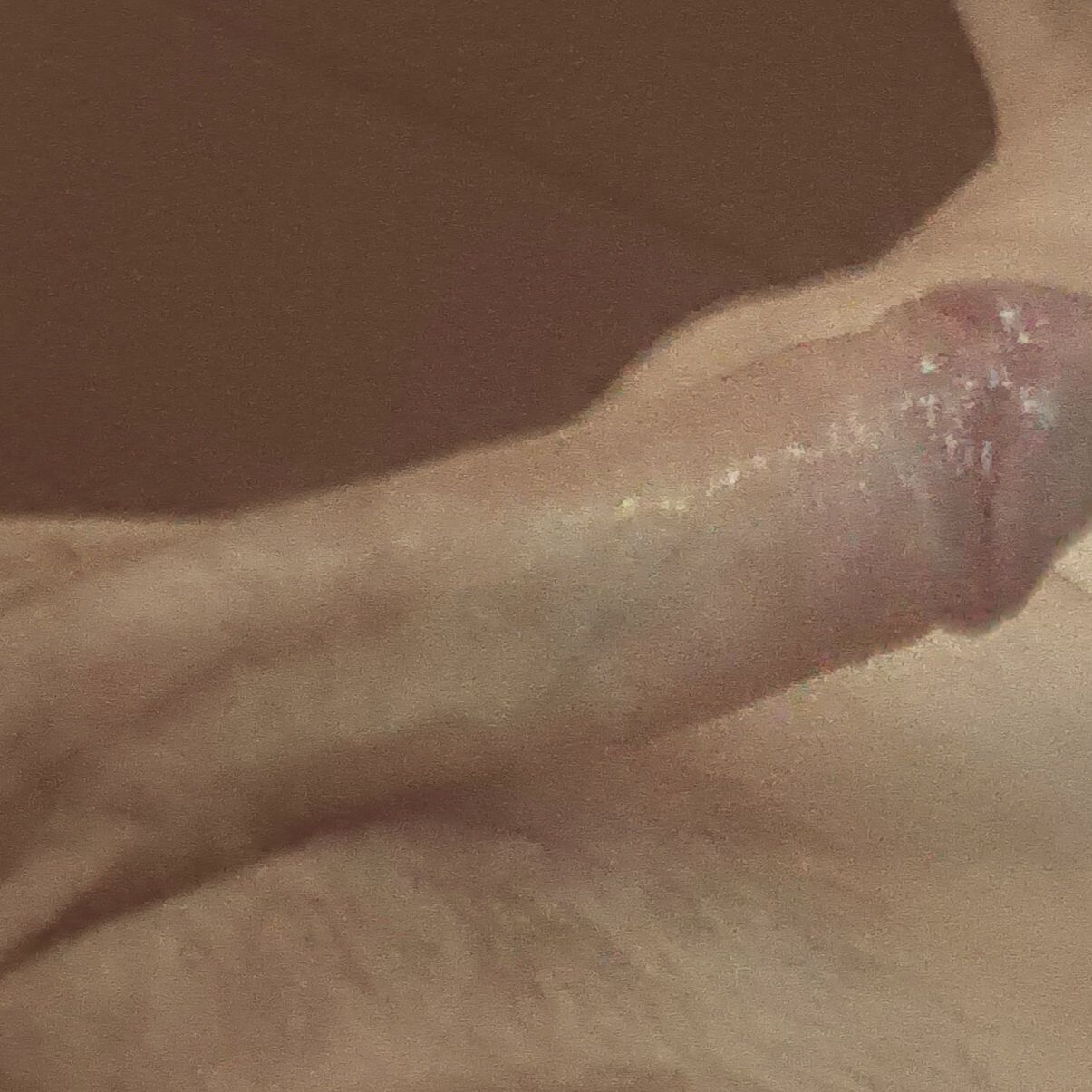 Profile image of bastoss3