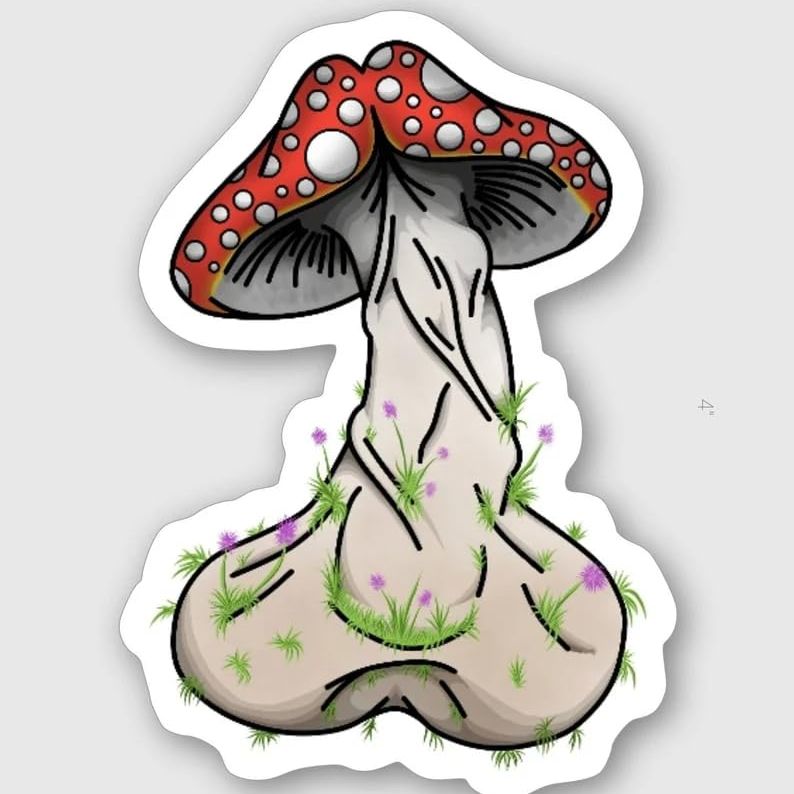 Profile image of bigmushroomhead