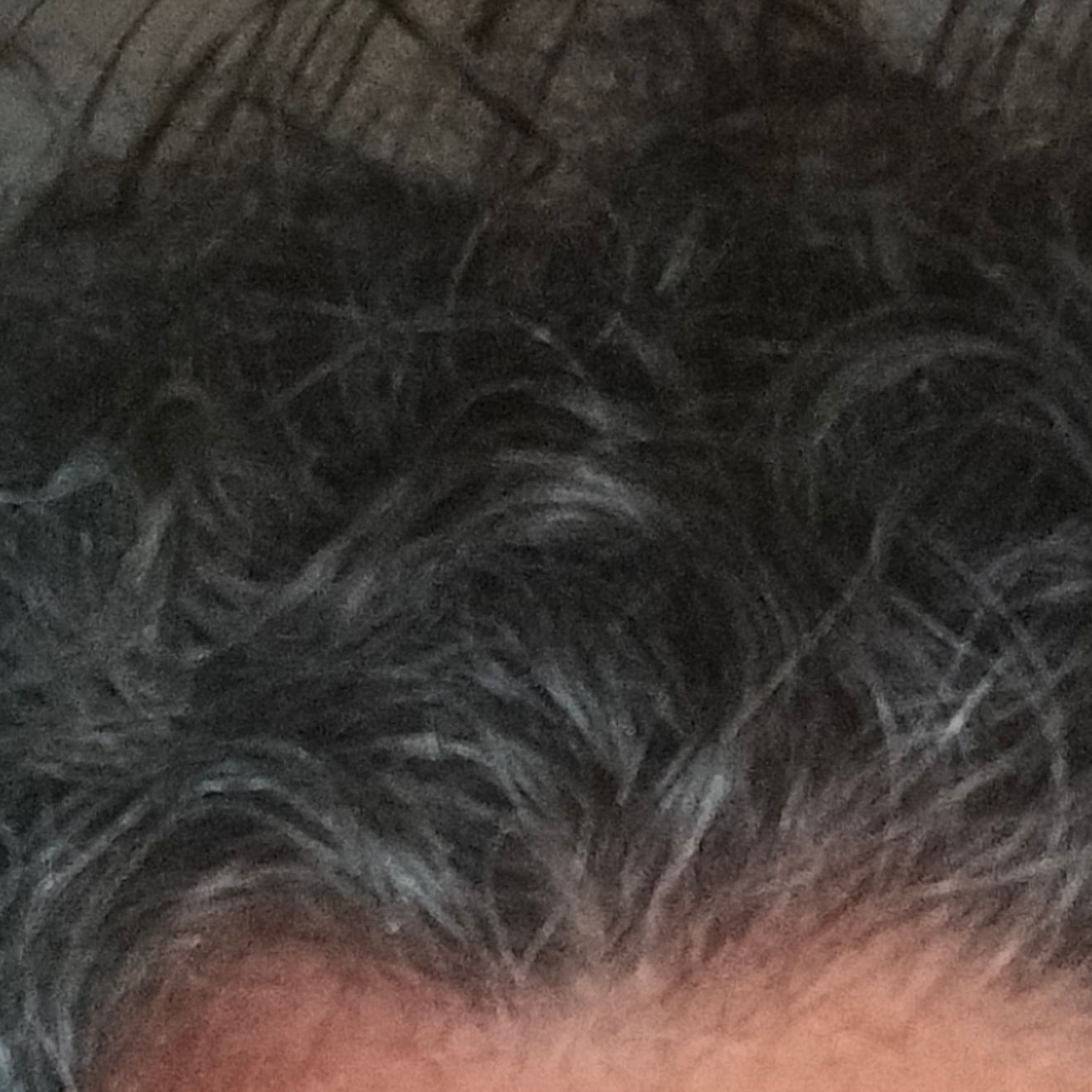 Profile image of blizzy100