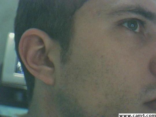 Profile image of borcatto