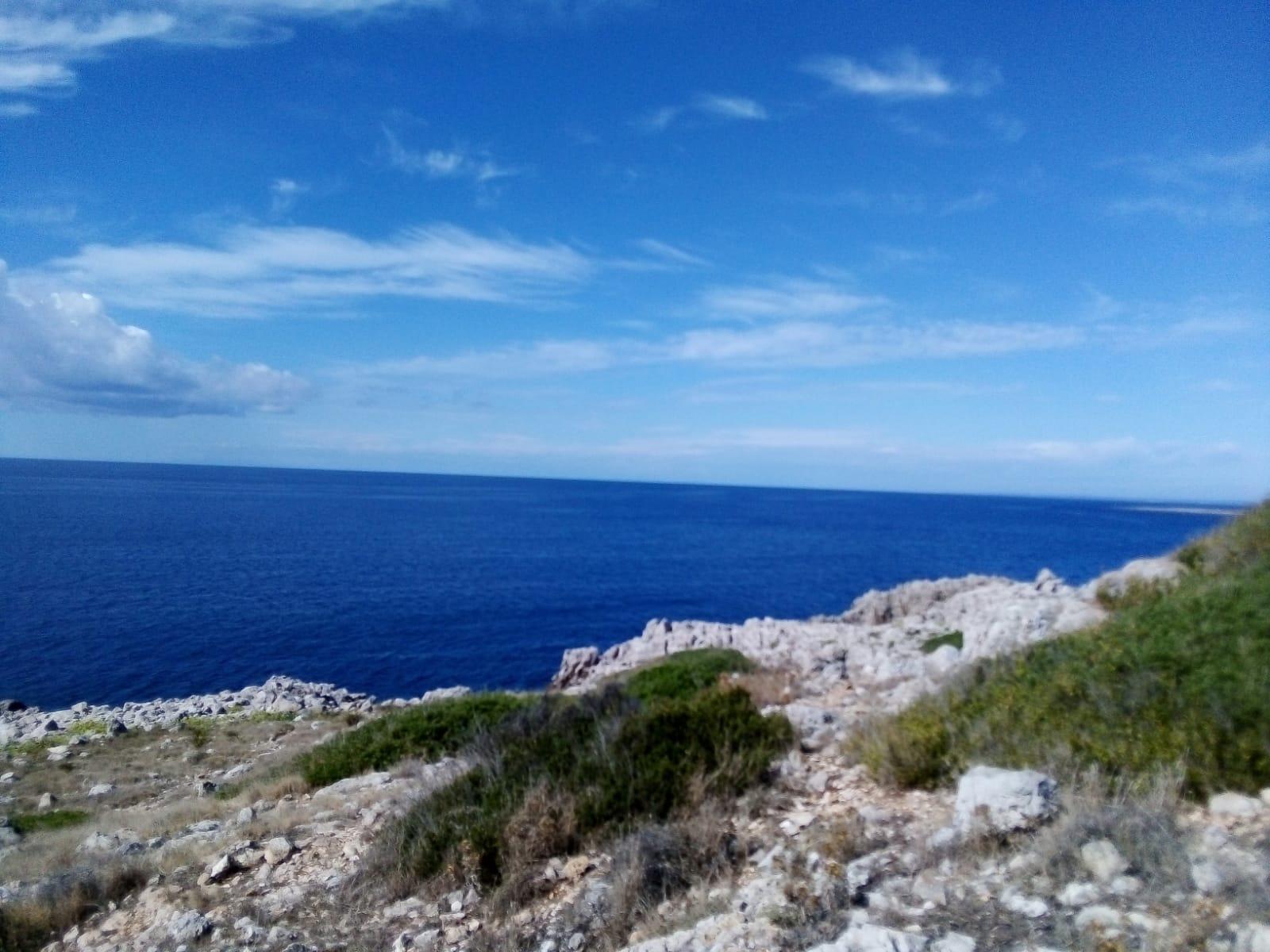 Profile image of briga571
