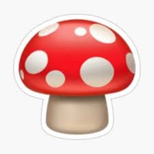 Profile image of cerapapi22