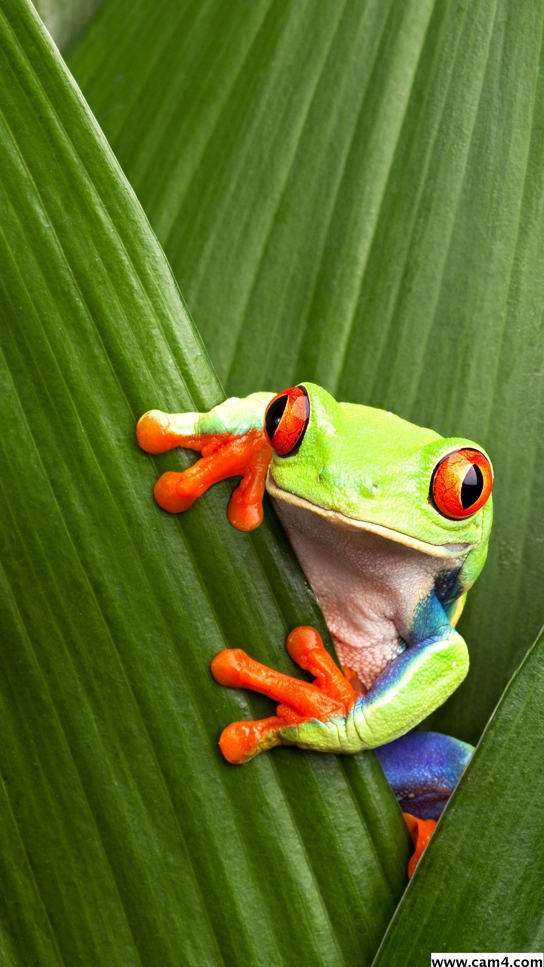 Profile image of cuccarino