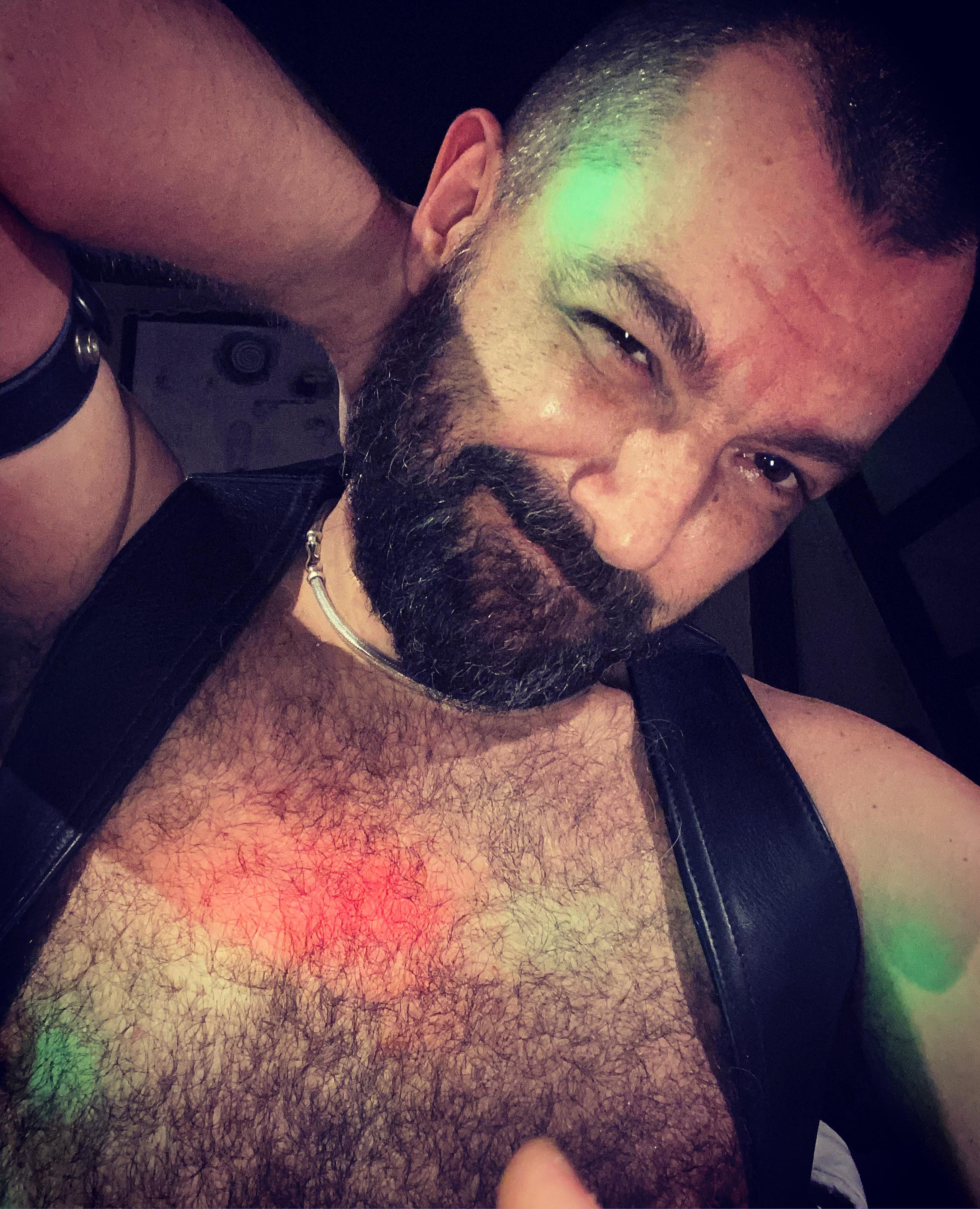 Profile image of daddybearmadri5