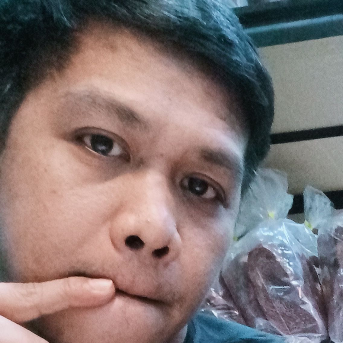 Profile image of darvs