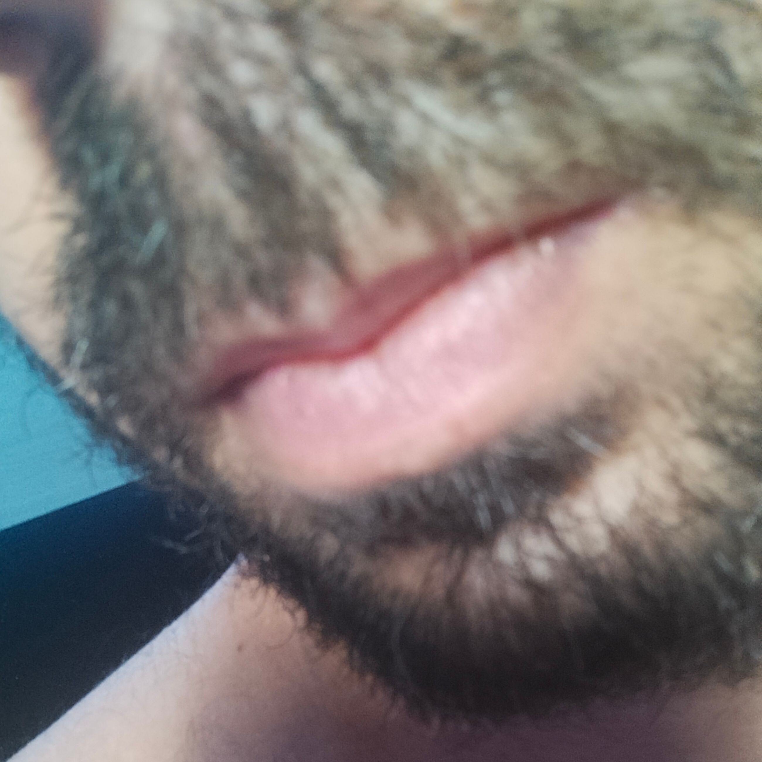 Profile image of dickita