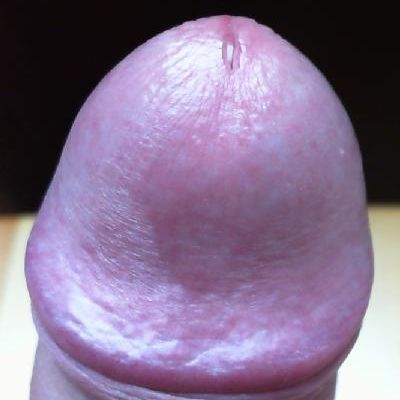 Profile image of eperis