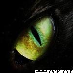 Profile image of geforce3