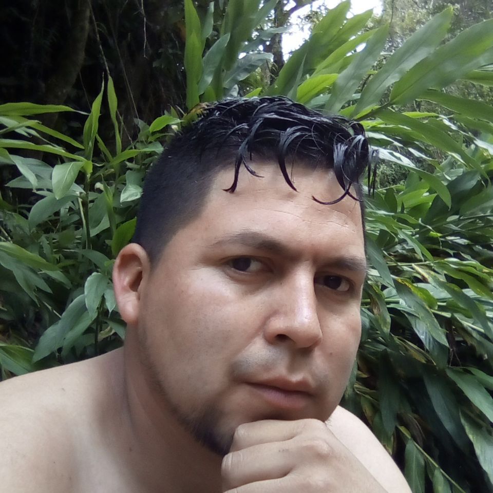 Profile image of geryko2