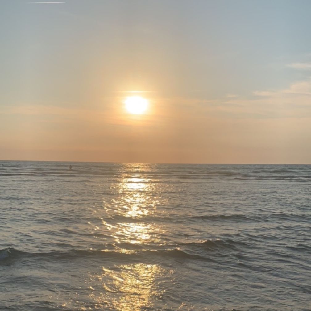 Profile image of groosseekeu1