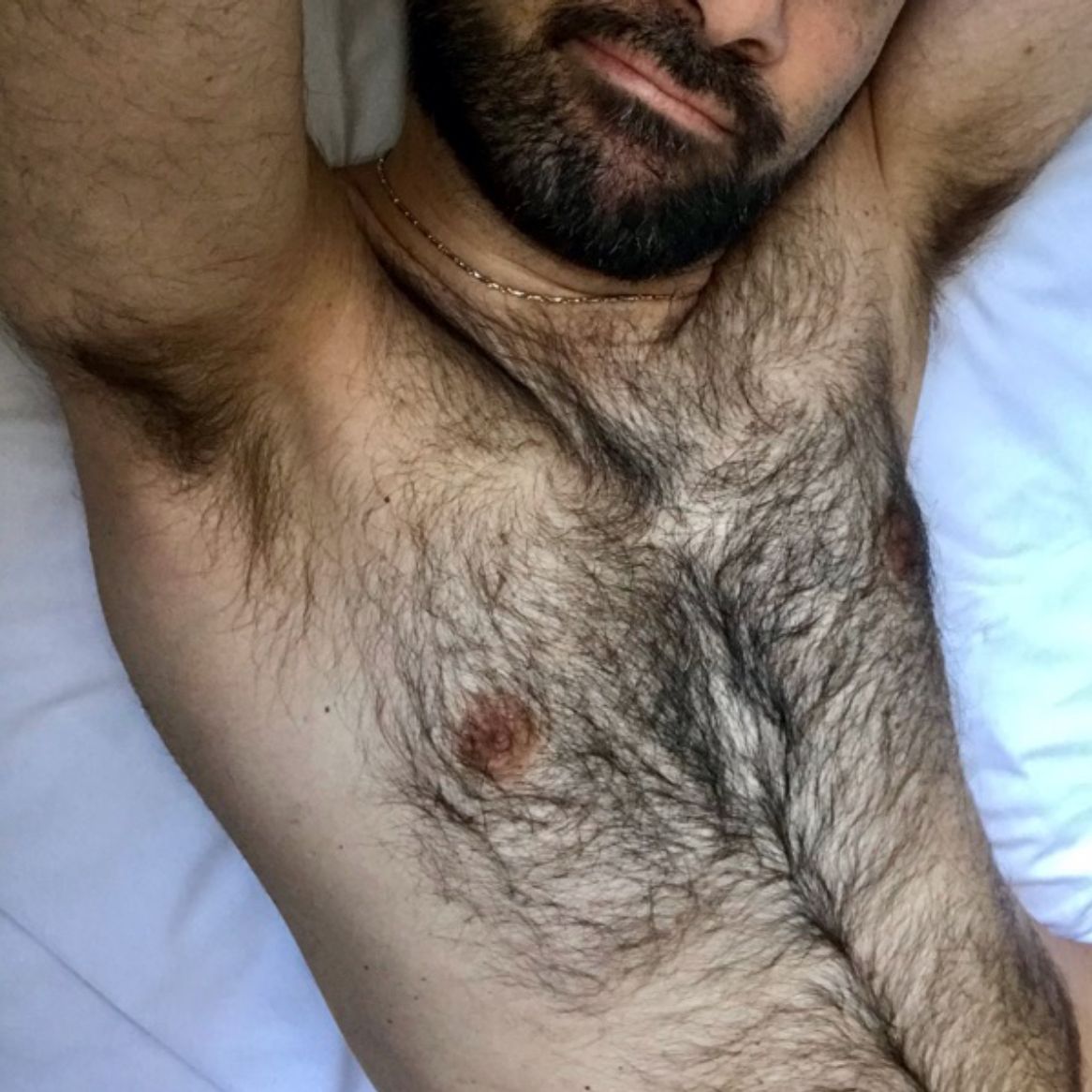Profile image of hairyman_981