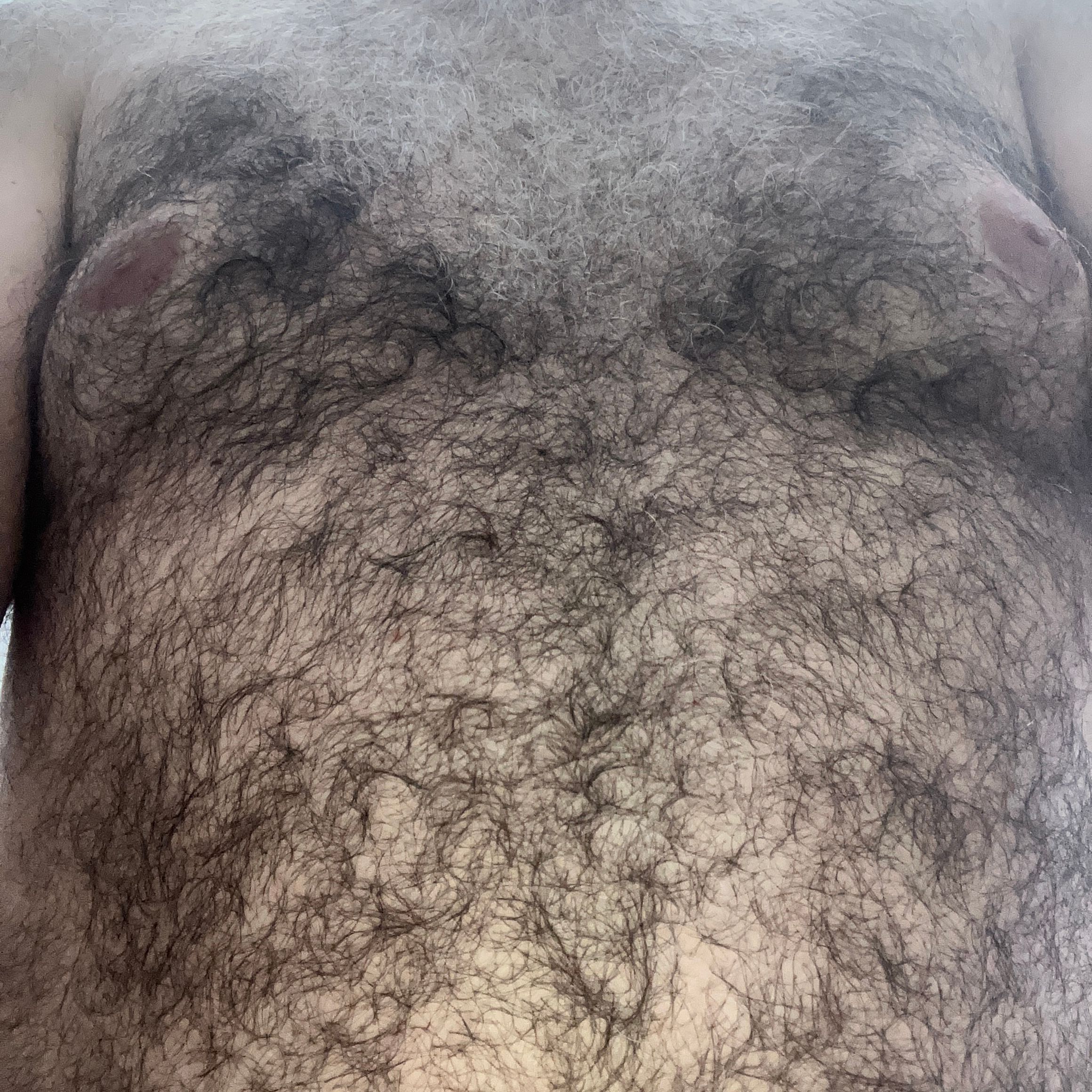 Profile image of homercol1