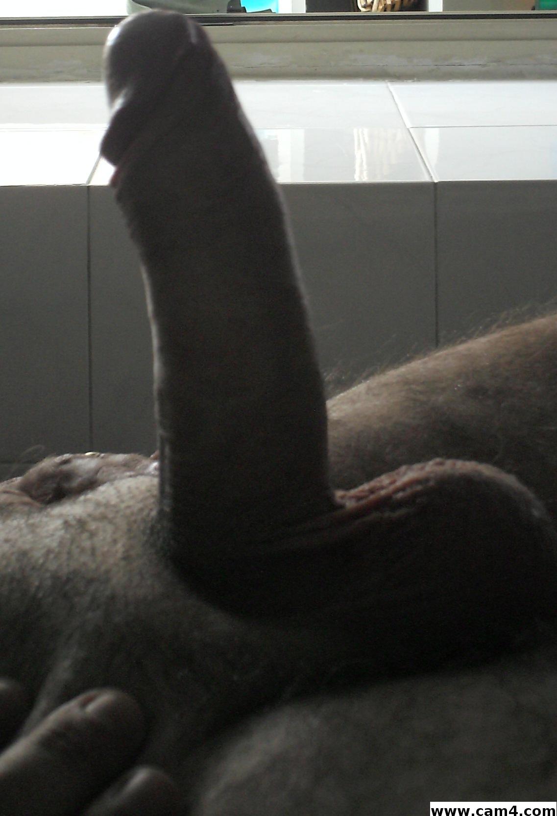 Profile image of ibraito1