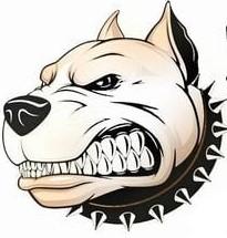 Profile image of immer19