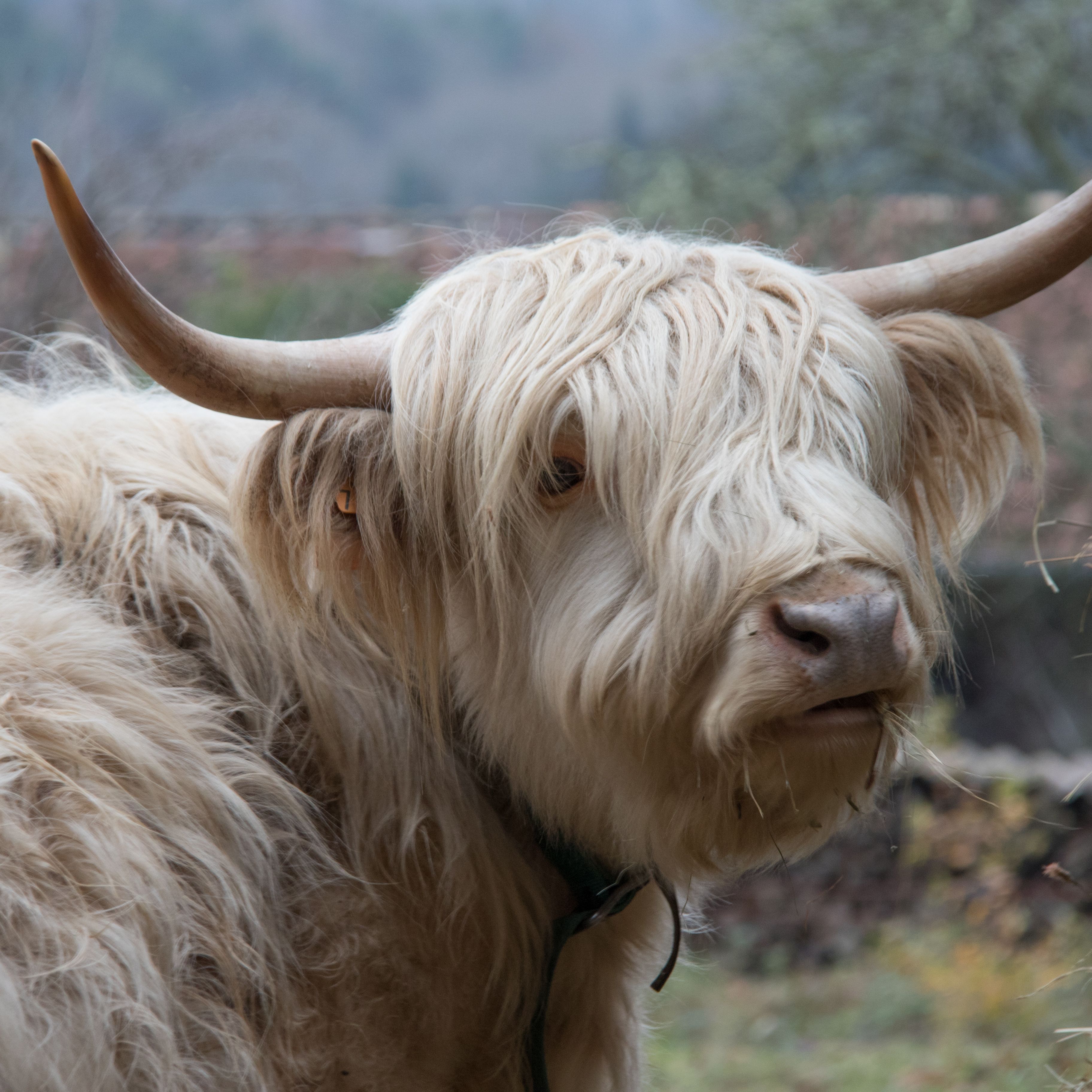Profile image of jeanklodus