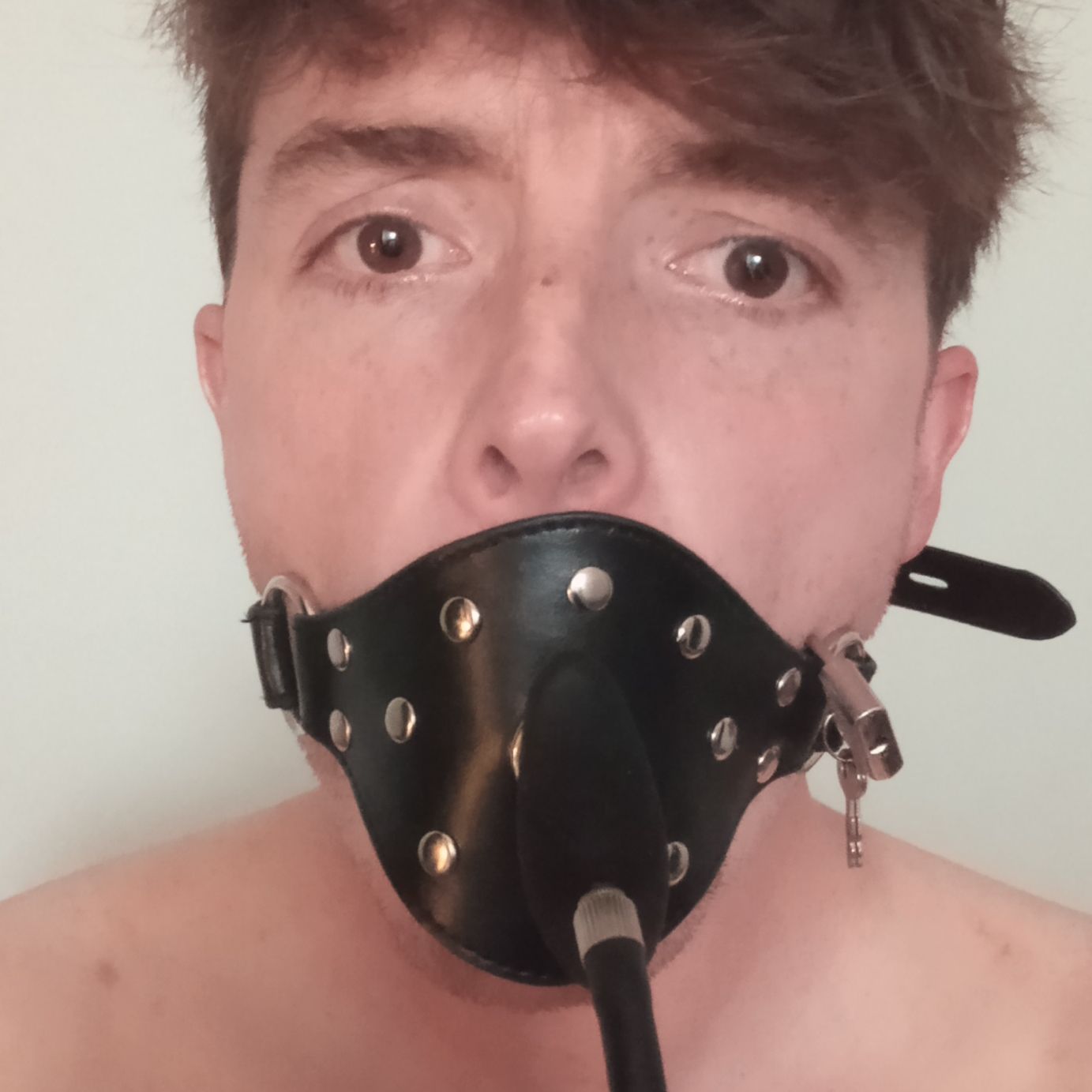 Profile image of lephoenix2