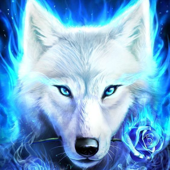 Profile image of liryc91